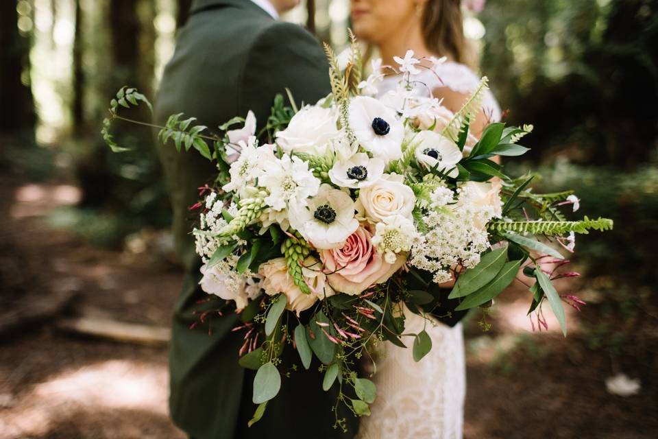 Anemones with black centers