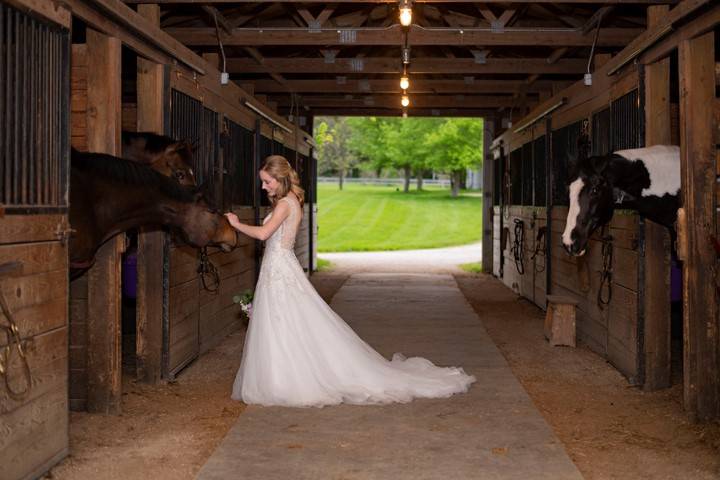 Stable Visit