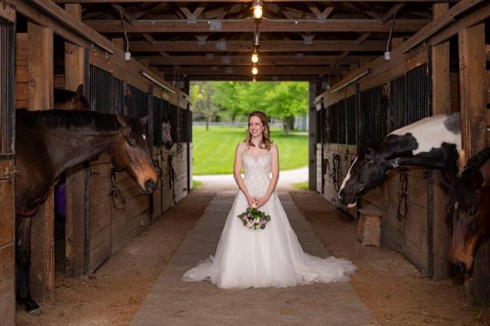 Bride and her Ponies