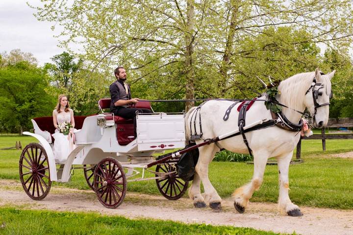 Carriage Arrival