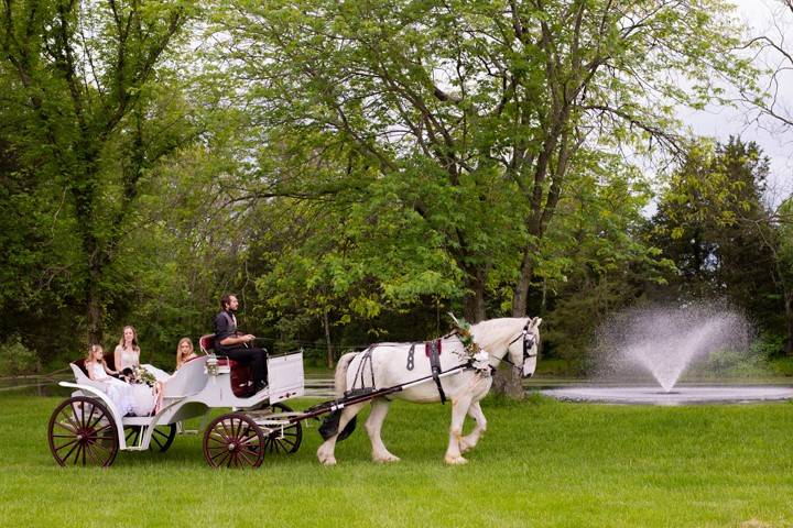 Carriage to the Lakeside Cerem