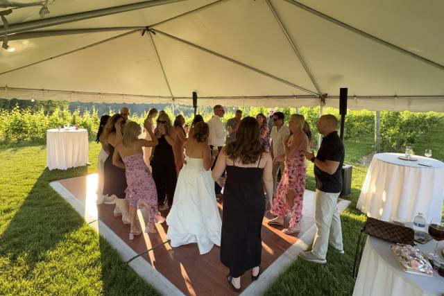 Reception Dance Time!