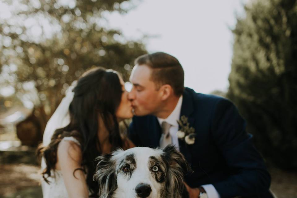 Newlyweds with pup
