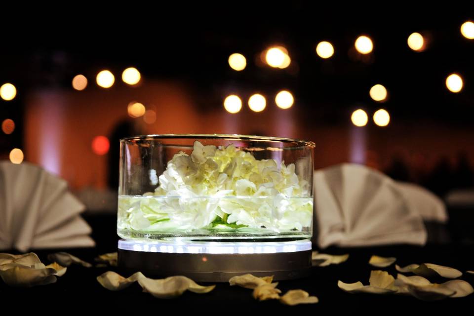 flowerstudio and events