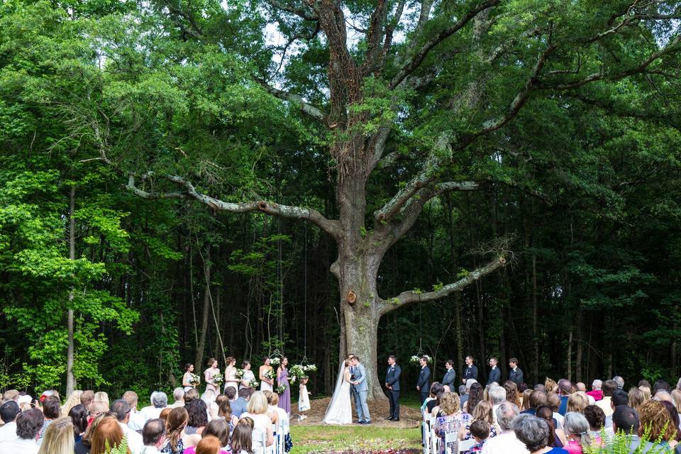 Wedding ceremony | Courtney Grant Photography