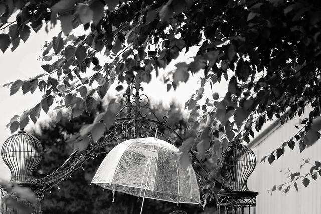 Chrissy Hinrichs Photography