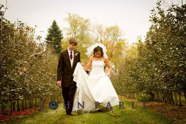 Beautiful portrait of bride and groom walking together in apple orchard outside of Rockford IL.