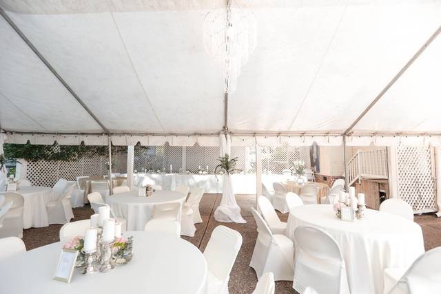 Table setup with centerpiece