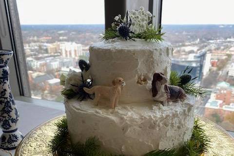 Dogs eating the cake
