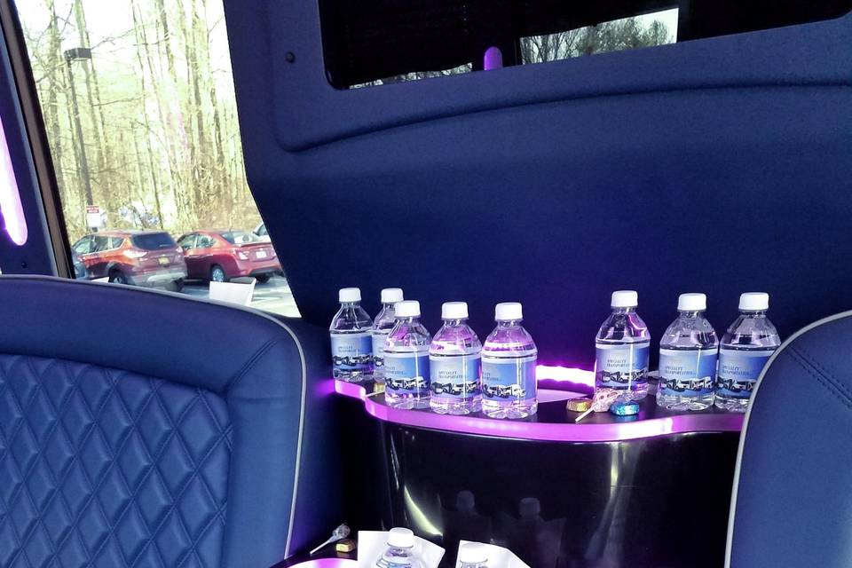 Party Bus Bar