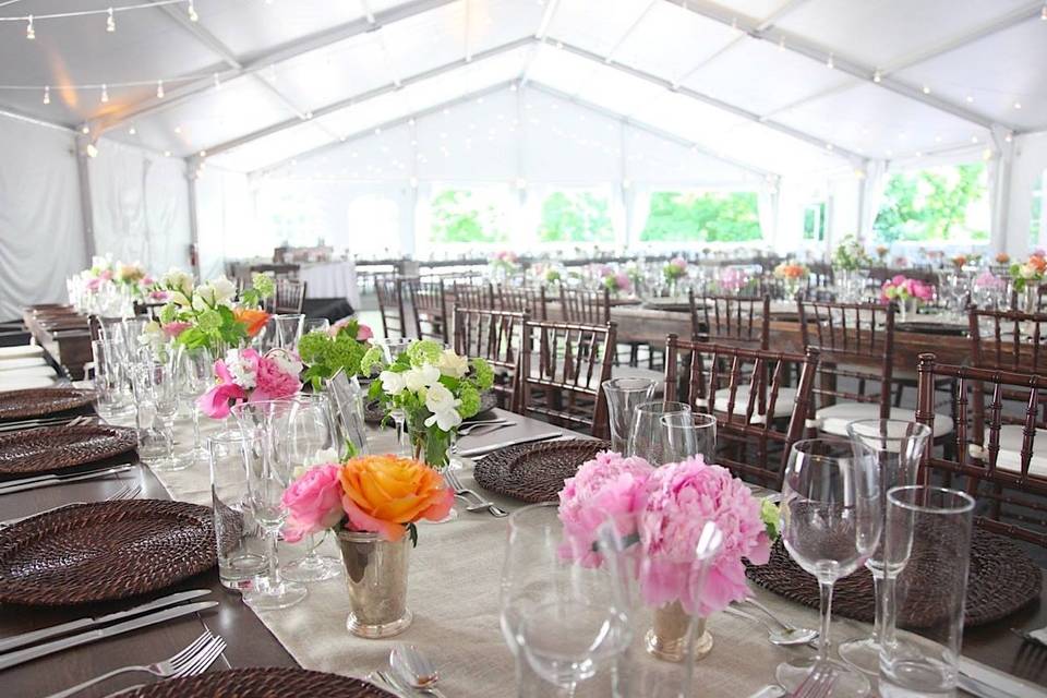 Clear top tent with string lights