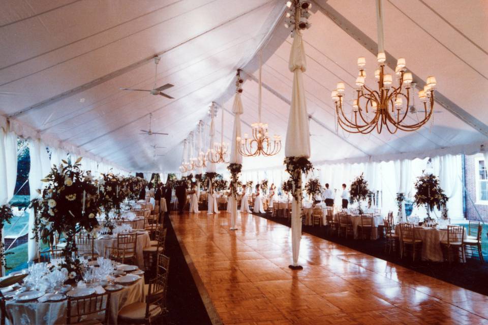 Elegant affair with chandelier