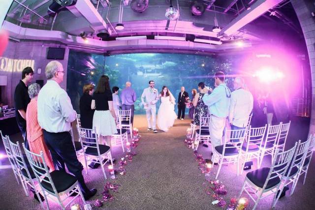 Newly wed