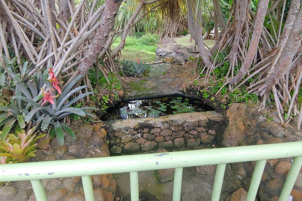 Gardens