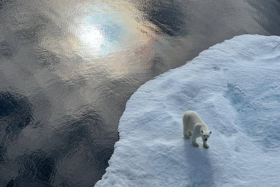 Arctic cruise