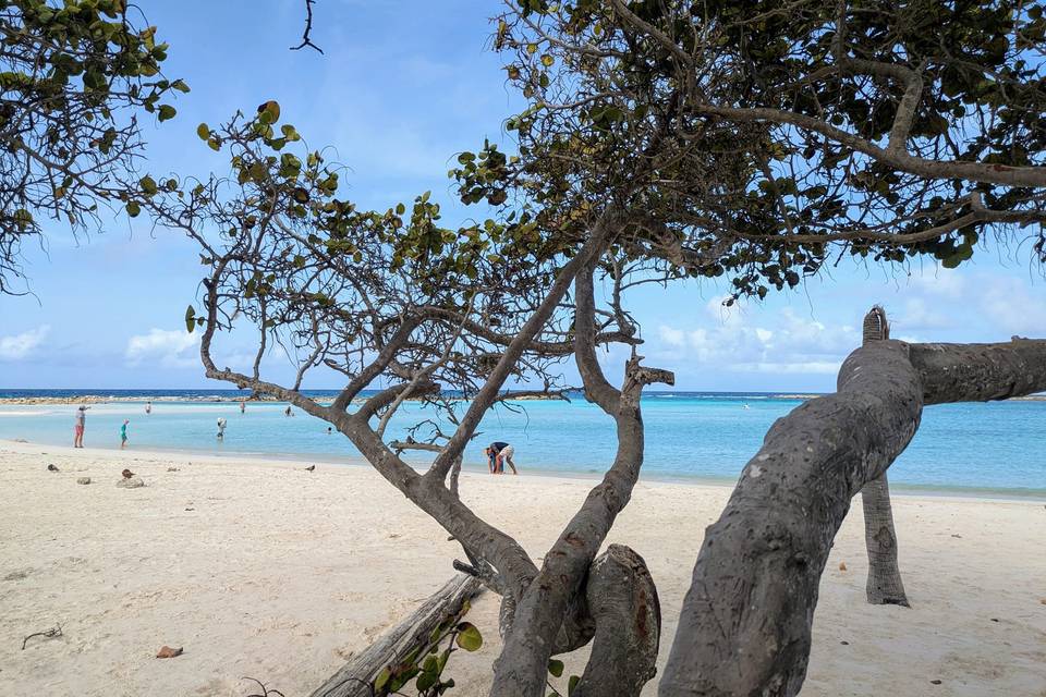 Aruba