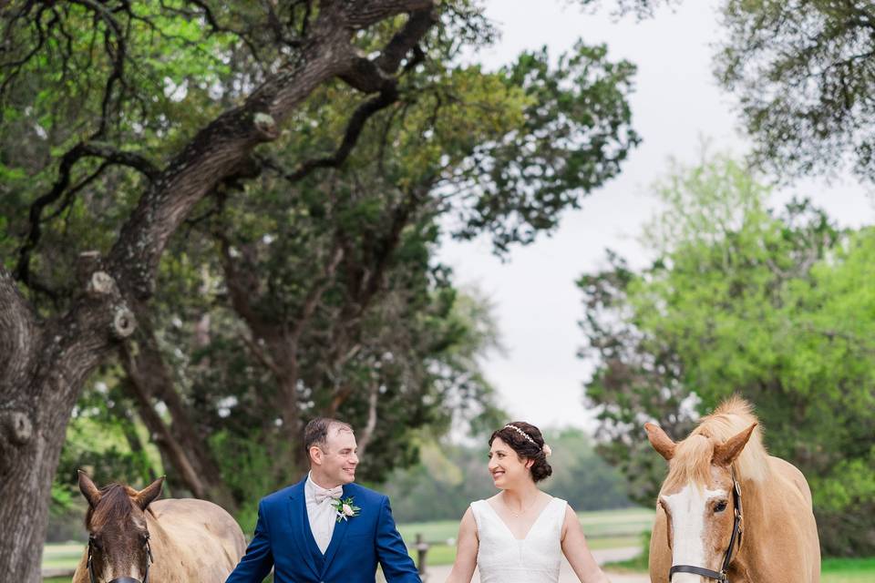 Bride groom and horses