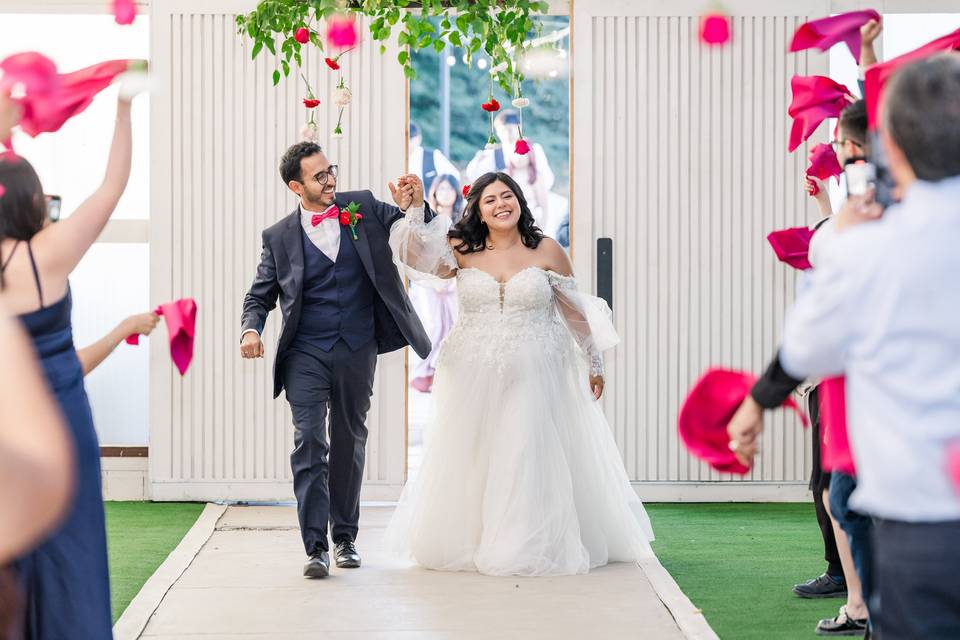Reception grand entrance