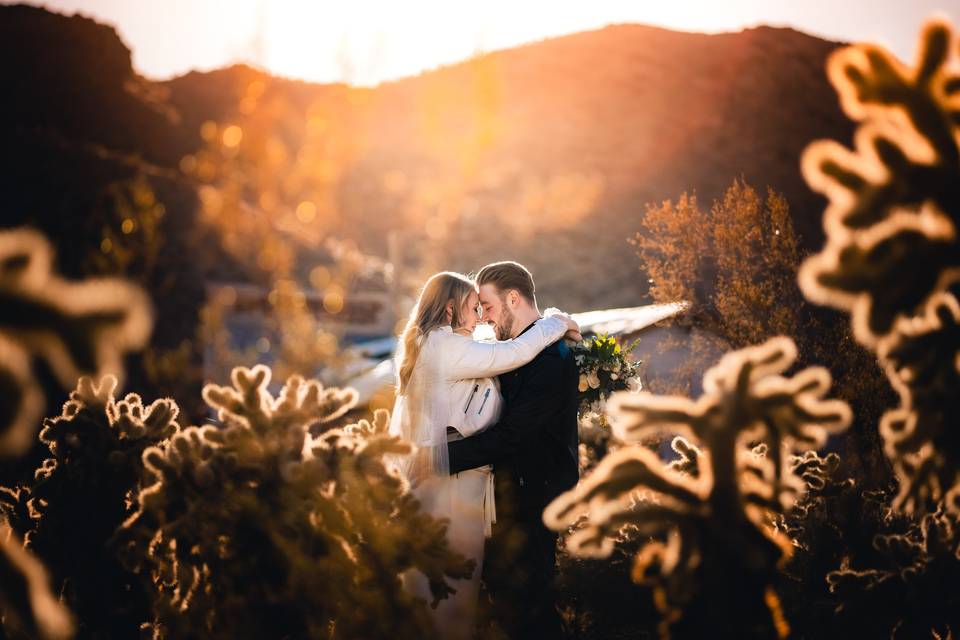 Nelson's Ghost Town Eloped