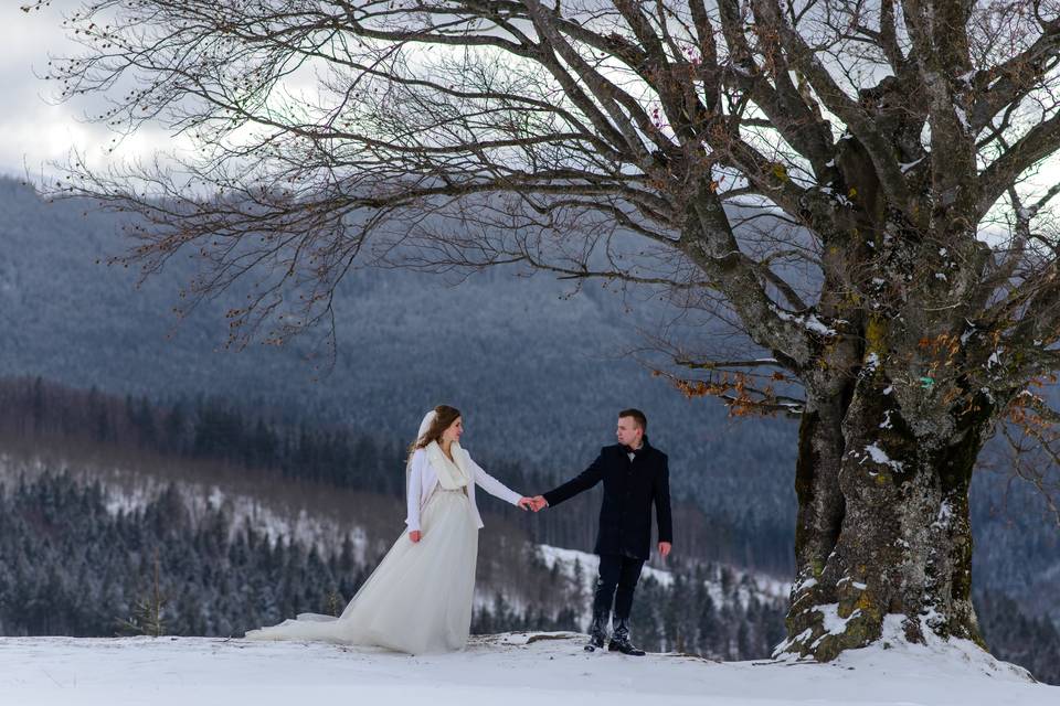 Winter Wedding