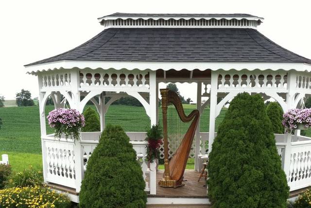 Gazebo wedding performance