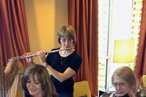 Celestial Strings Trio