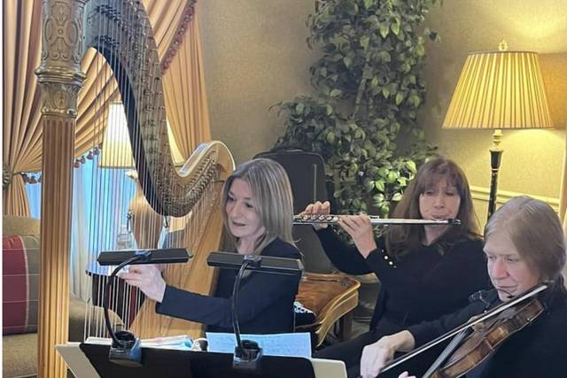 Celestial Strings Trio