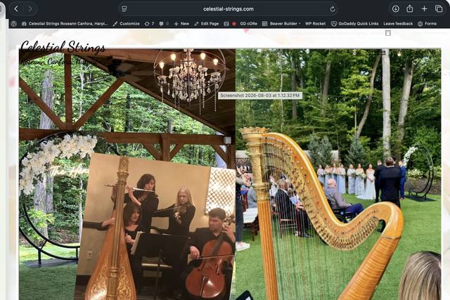 Celestial Strings Ensembles