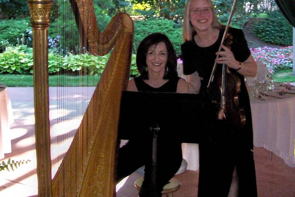 Harp and violin