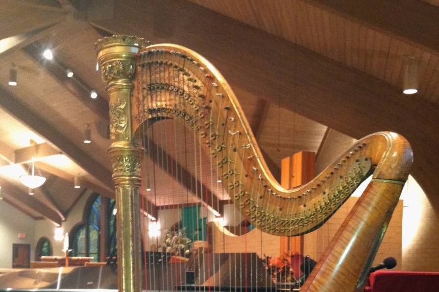 Harp and violin