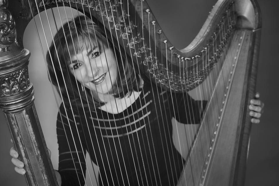 Harpist