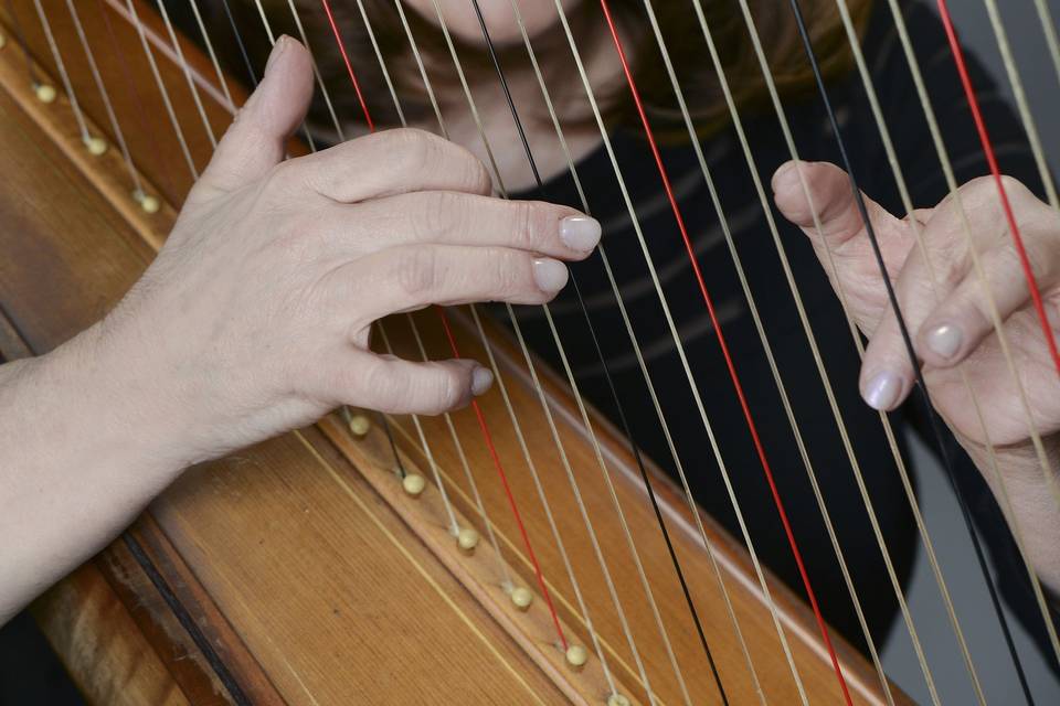 Behind the harp