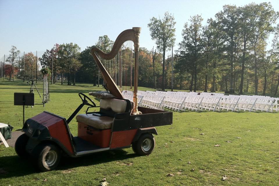 Harp on a cart