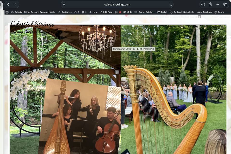 Celestial Strings Ensembles
