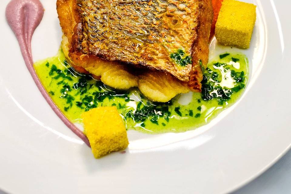 Pan Seared Snapper