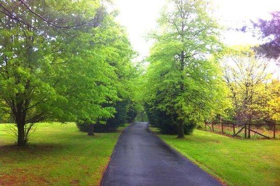 Acorn Entrance