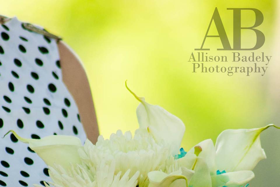 Allison Badely Photography
