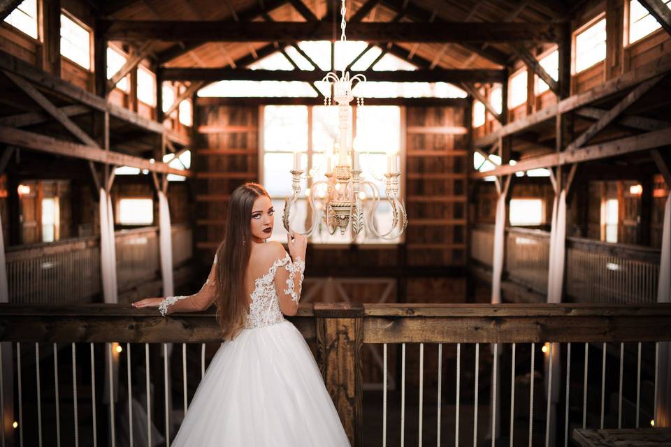 Bridal portrait