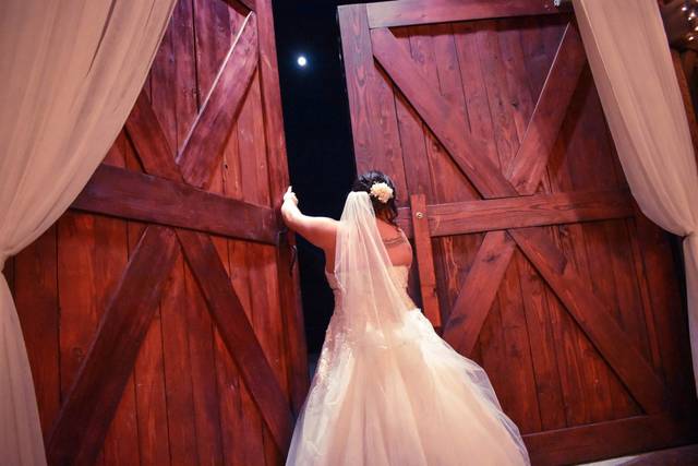 Elizabeth Hein Photography