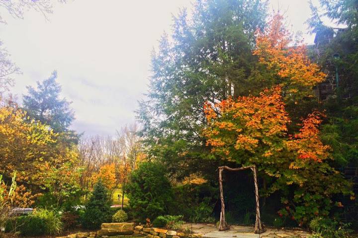 Fall in Homewood's Garden Ceremony Site