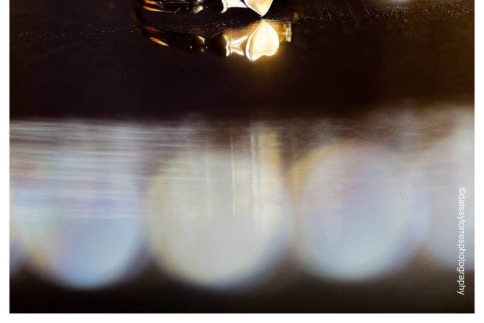 Daissy Torres Photography