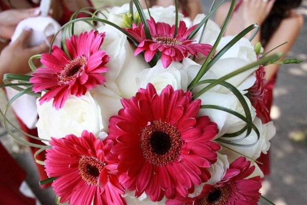 Signature Wedding Photography (formerly 4 Peas in a Pod Photography)