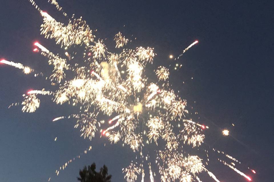 Firework Display