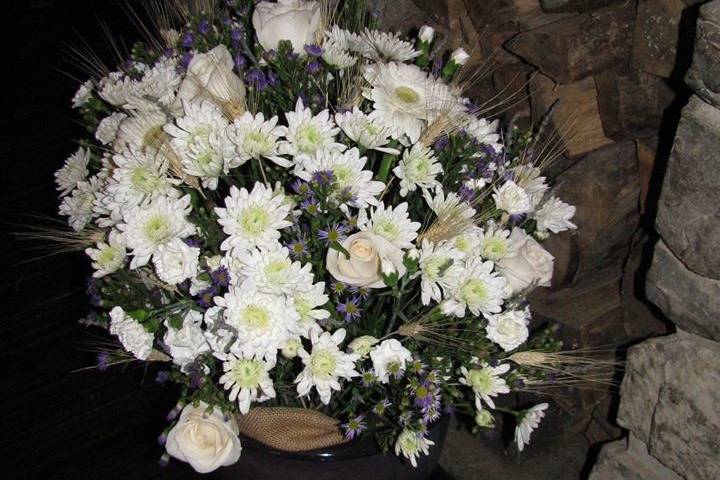 Floral Root