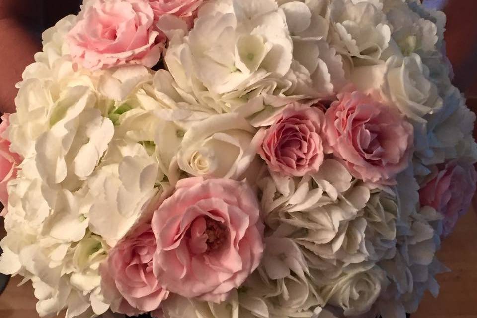 Floral Root