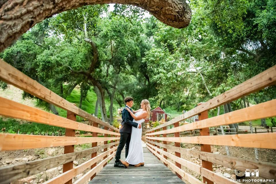 Picturesque Bridge