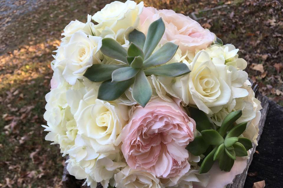 Garden roses and succulents