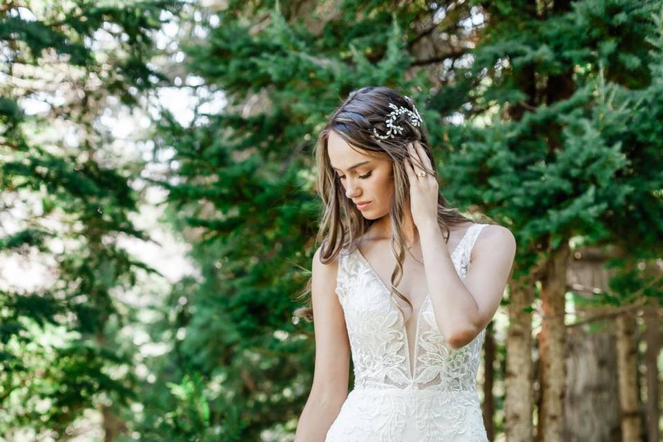 Bridal at Ohme Gardens