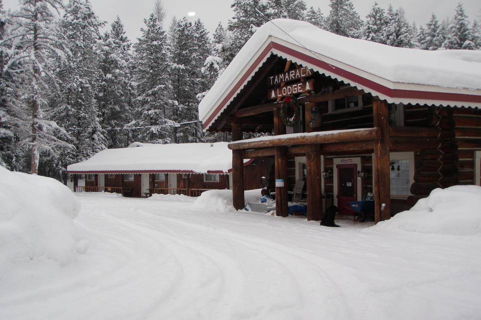 Historic Tamarack Lodge & Cabins