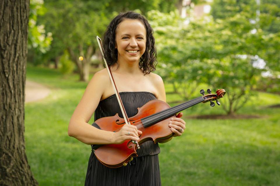 Viola